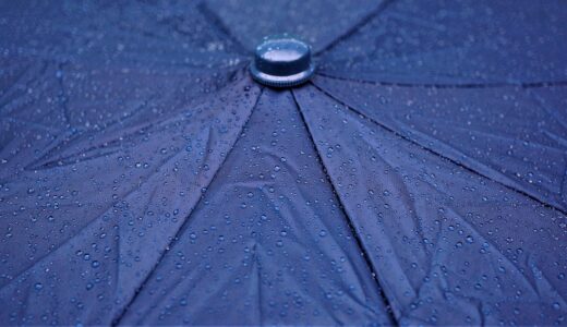 rain, umbrella, nature, raindrops, raining