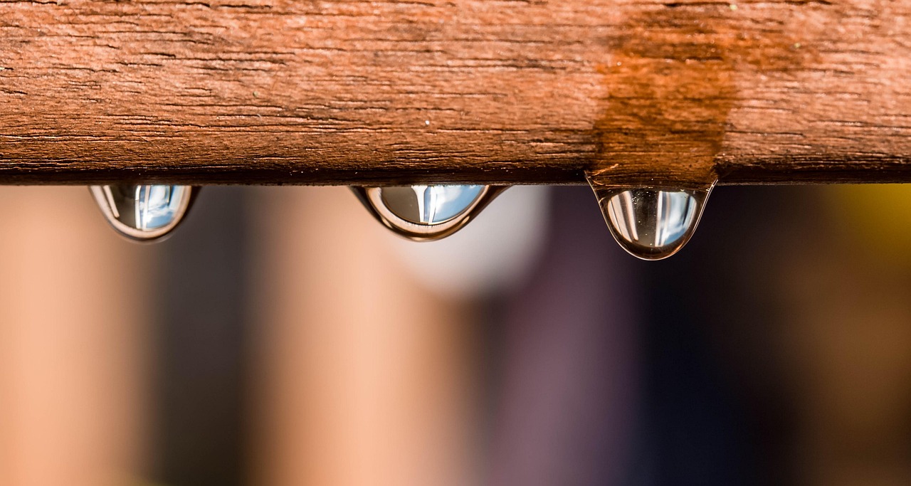 drops, waterdrop, raindrop, wet, water, nature, roll off, clear, glittering, reflection, transparent, board, wood, fiber, grain