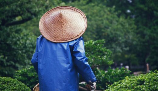yard, nature, park, gardener, gardening, hat, asia, nature, gardening, gardening, gardening, gardening, gardening, hat, asia, asia