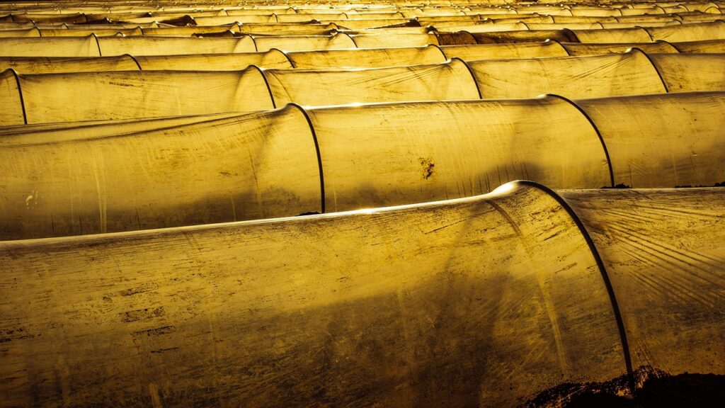farm, agriculture, field, rows, nylon, countryside, agricultural, greenhouse