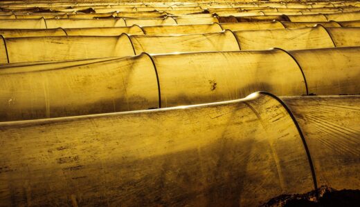 farm, agriculture, field, rows, nylon, countryside, agricultural, greenhouse