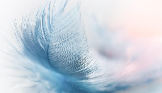 feather, ease, slightly, blue, airy, nature wallpaper, beautiful nature, close up, featherweight, flying, wind, hd wallpaper, lightweight, nature, ostrich feather, fluffy, nature background, swing, float, cool wallpaper
