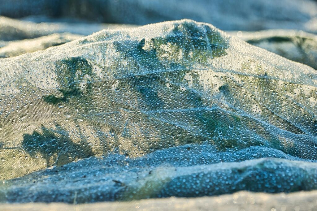 fleece, plant, close up, shroud, nature, drops, green