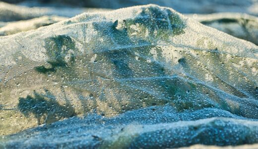 fleece, plant, close up, shroud, nature, drops, green