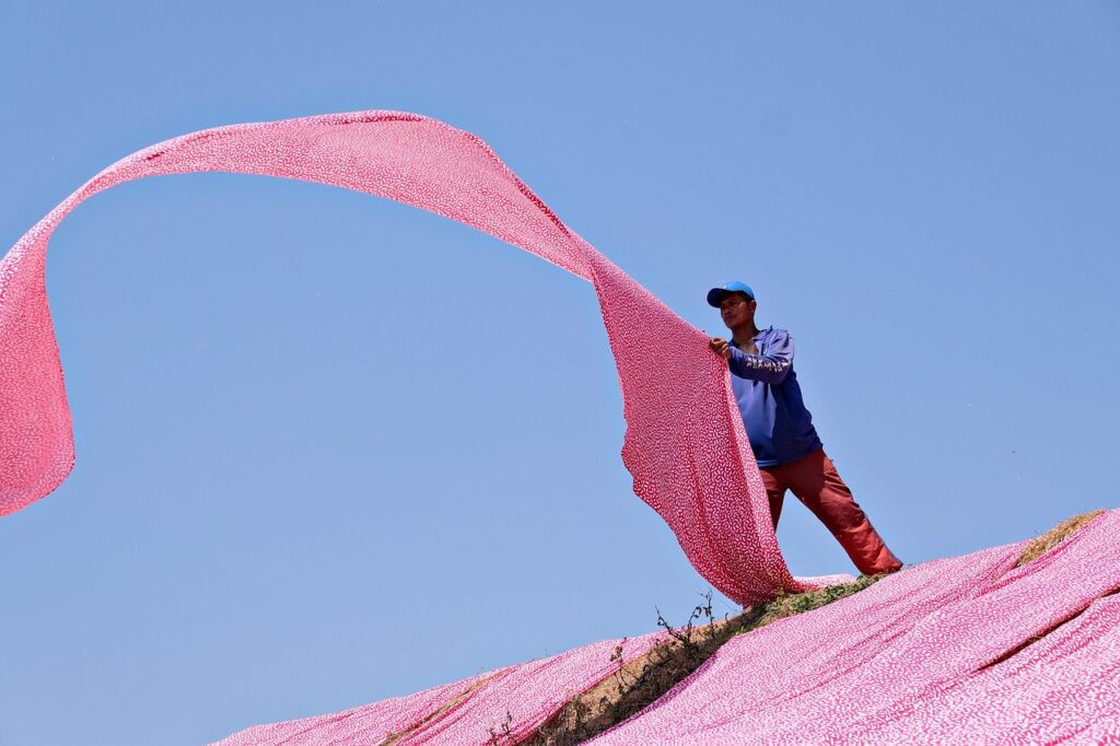 pink, clothes, fabric, drying, worker, textile, pink, fabric, fabric, fabric, fabric, fabric, textile, textile, textile