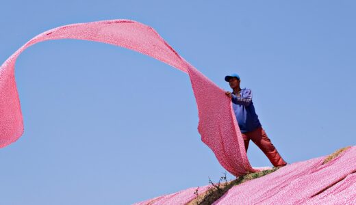 pink, clothes, fabric, drying, worker, textile, pink, fabric, fabric, fabric, fabric, fabric, textile, textile, textile