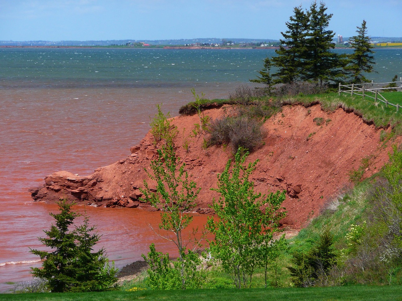 coastline, water, shore, nature, erosion, eroded, soil, shoreline, sea, ocean, prince edward island, canada, seascape