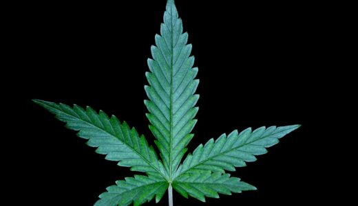 weed, hemp