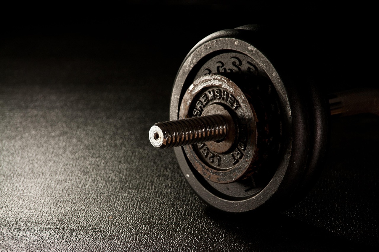fitness, weight, dumbbell, gym, fitness center, weight lifting, weight training, fit, gym, gym, gym, gym, gym