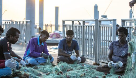 dawn, daybreak, morning, sky, port, nature, fishing, day, light, coastal, sea, qatar, doha, catch, net, sorting, fisherman, fish, people, marine, industry, nylon