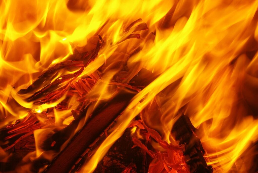 fire, flame, embers, money, lighter, wood, campfire, wood fire, charcoal, grilling, hot, grill proof, burn, barbecue on the beach, barbecue torches, grilled food