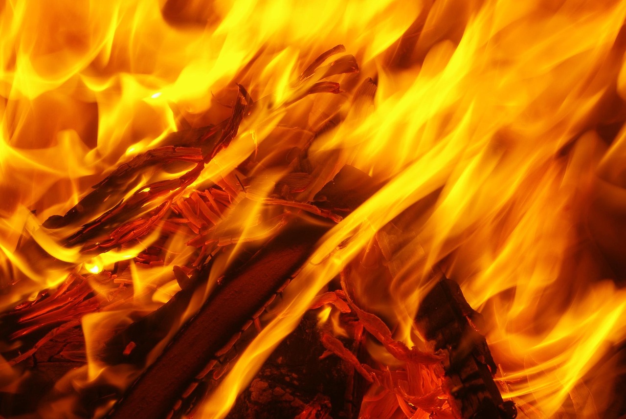fire, flame, embers, money, lighter, wood, campfire, wood fire, charcoal, grilling, hot, grill proof, burn, barbecue on the beach, barbecue torches, grilled food