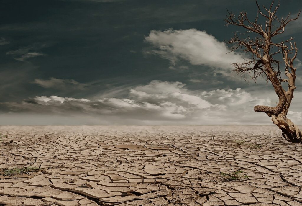 desert, drought, dehydrated, arid, badlands, nature, erosion, tree, dead tree, clouds, horizon, barren, dry soil, dry lands, clay soil, cracked, cracks, dry, hot, devastated, wasteland, deserted