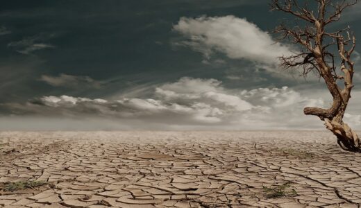 desert, drought, dehydrated, arid, badlands, nature, erosion, tree, dead tree, clouds, horizon, barren, dry soil, dry lands, clay soil, cracked, cracks, dry, hot, devastated, wasteland, deserted
