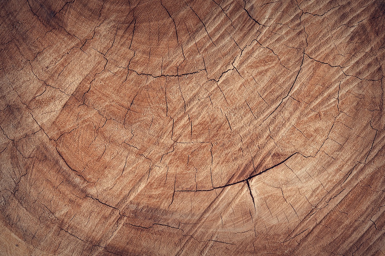 wood, beautiful wallpaper, floor, backdrop, background, wooden, laptop wallpaper, full hd wallpaper, free background, board, hd wallpaper, brown, free wallpaper, carpentry, 4k wallpaper, decor, hardwood, lumber, material, mac wallpaper, 4k wallpaper 1920x1080, desktop backgrounds, cool backgrounds, wallpaper 4k, natural, oak, wallpaper hd, old, brown background, windows wallpaper, brown wood
