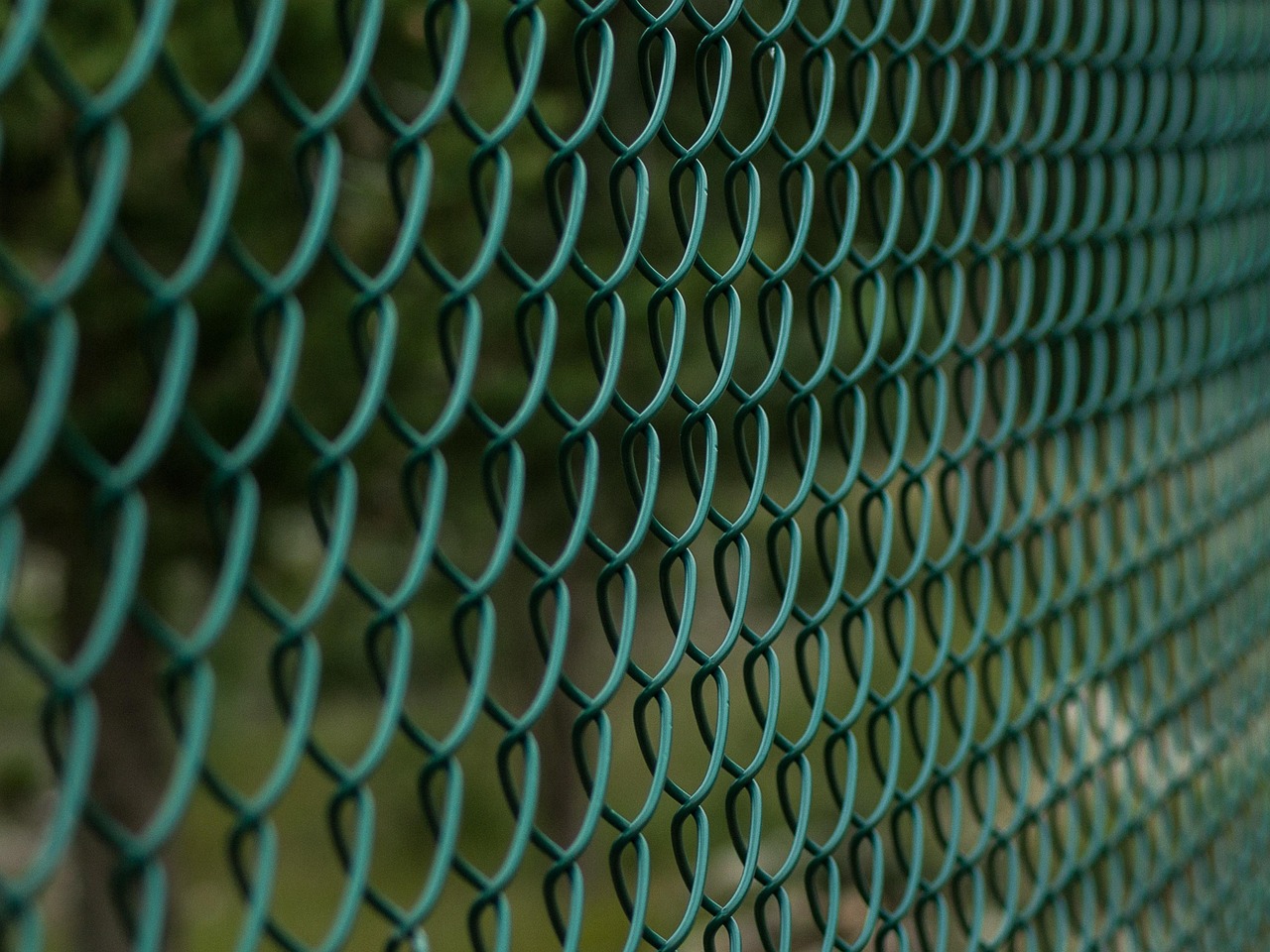 fence, fencing, wire mesh, fence, fence, fence, fence, fence, fencing, fencing, wire mesh