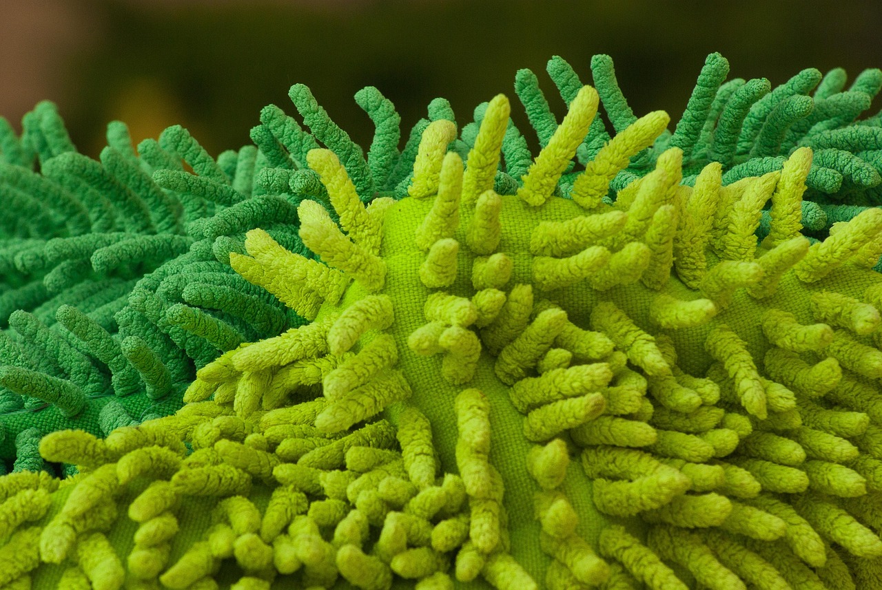fabrics, cleaning, minnow, cloth