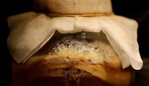 kombucha, fermented drink, fermentation, kombucha mushroom, scoby, tea mushroom, ferment, kombucha, kombucha, kombucha, kombucha, kombucha, fermentation, fermentation, fermentation, ferment